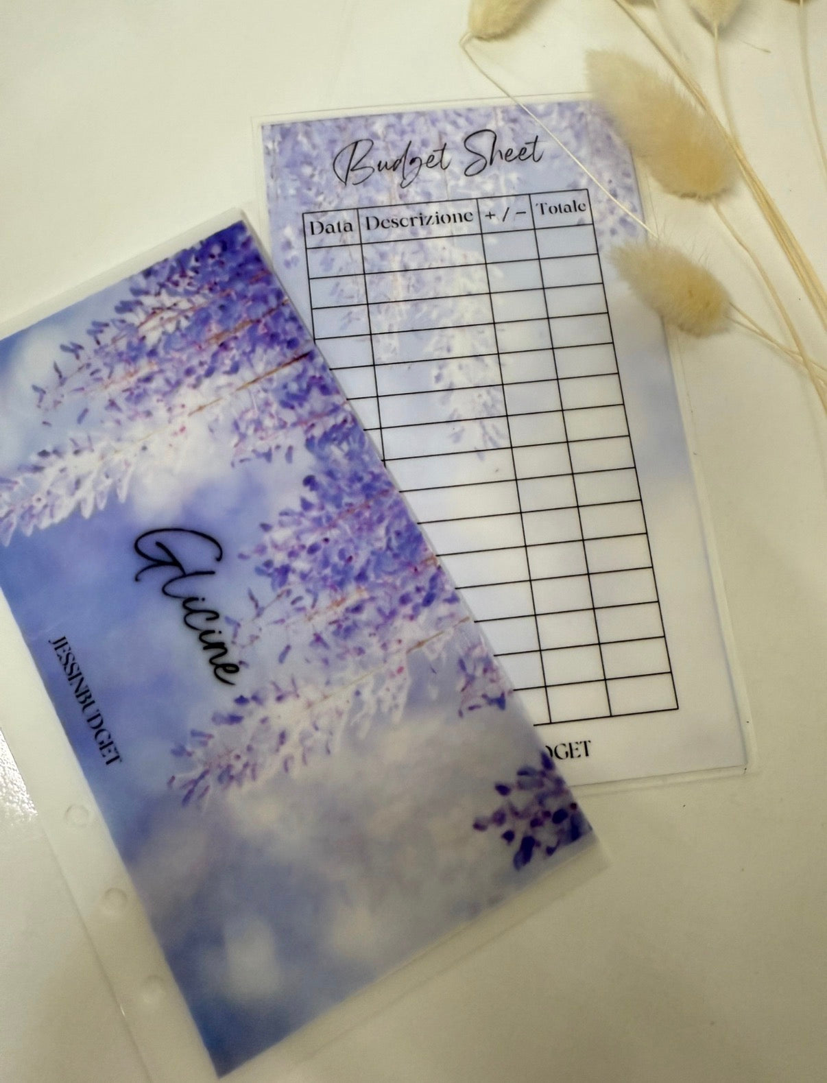 Budget Sheet Glicine
