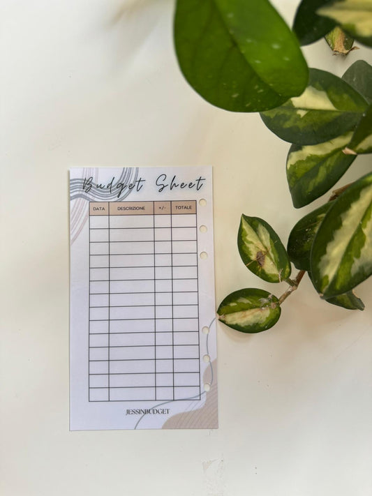 Budget Sheet BROWNIE