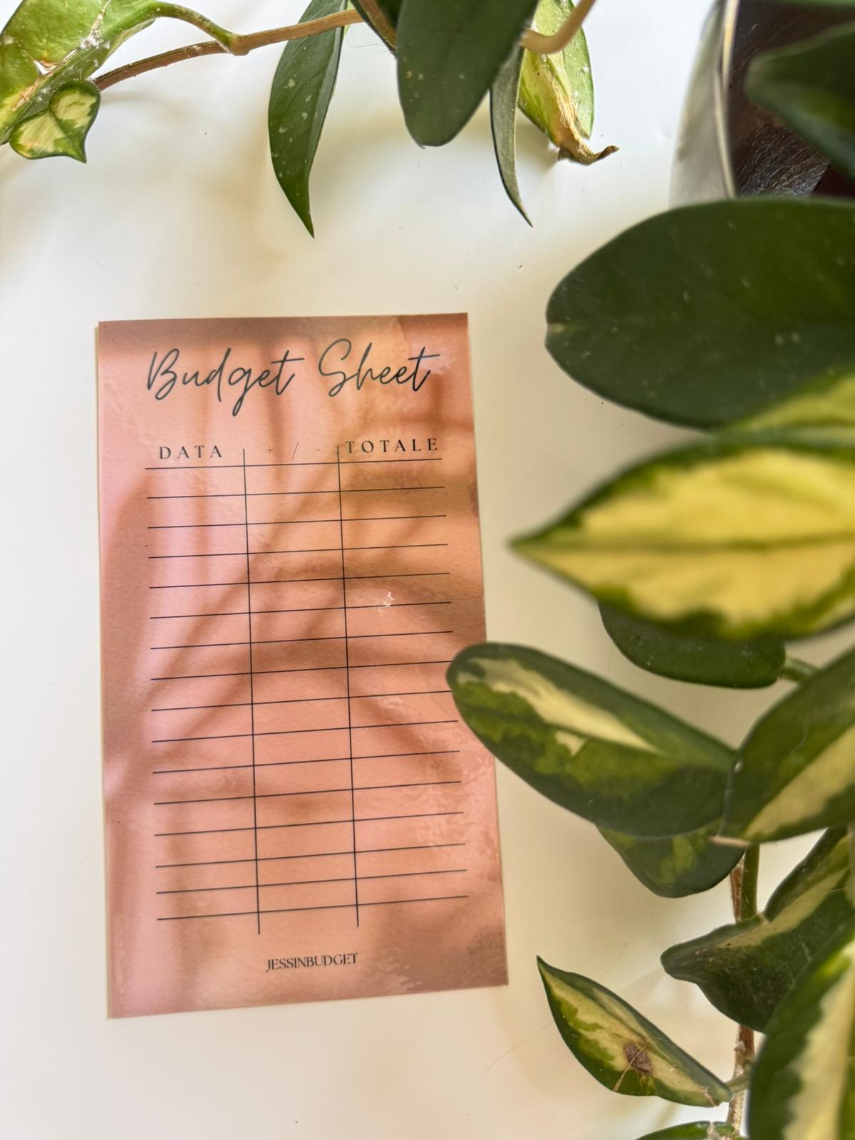 Budget Sheet CACAO