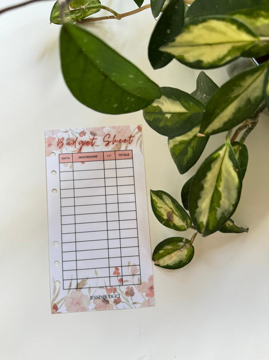 Budget Sheet ROSIE