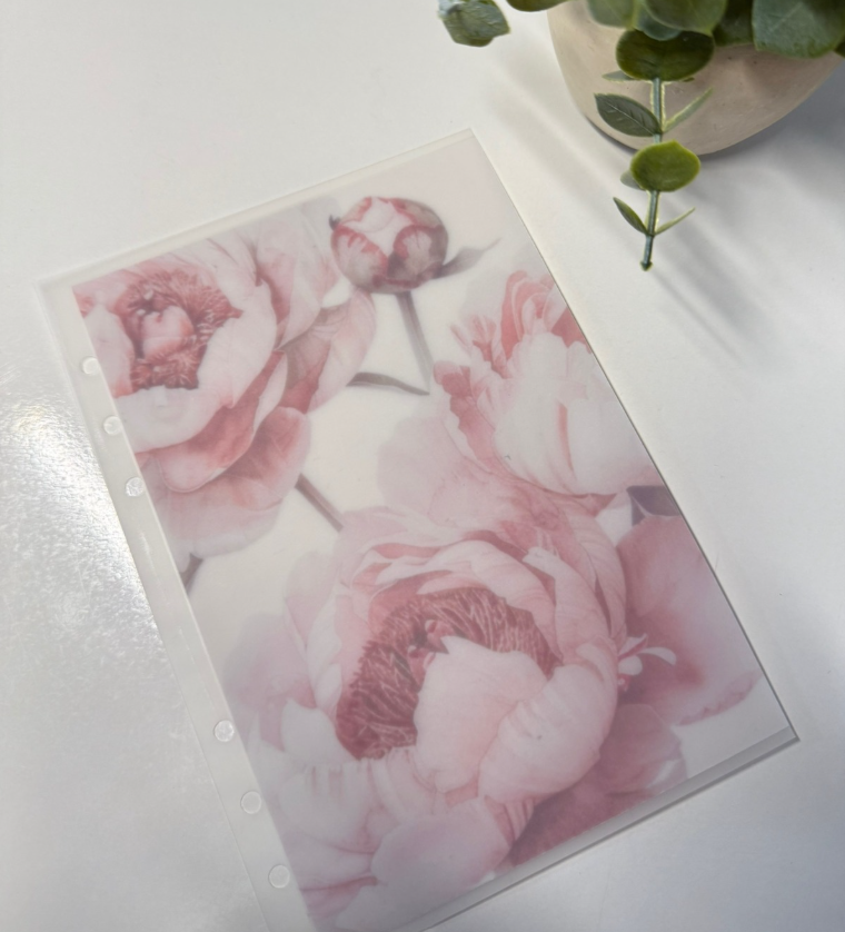 Buste opache PEONY
