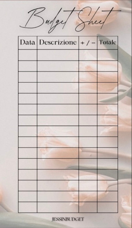 Budget Sheet Tulipani