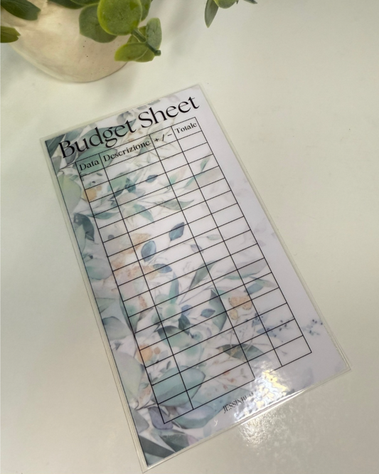 Budget Sheet JANE