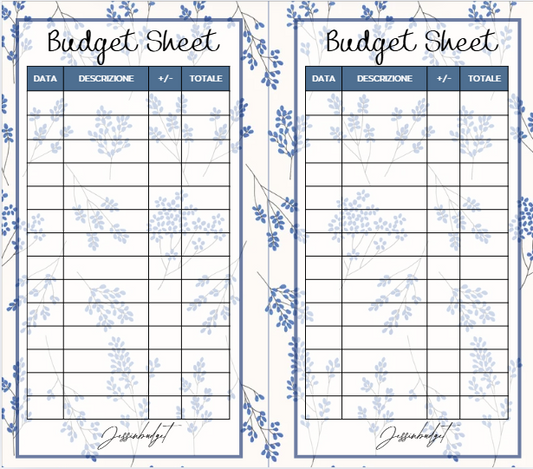 Budget Sheet LIGHT BLUE