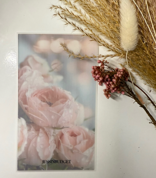 Copertina - Rose e rugiada