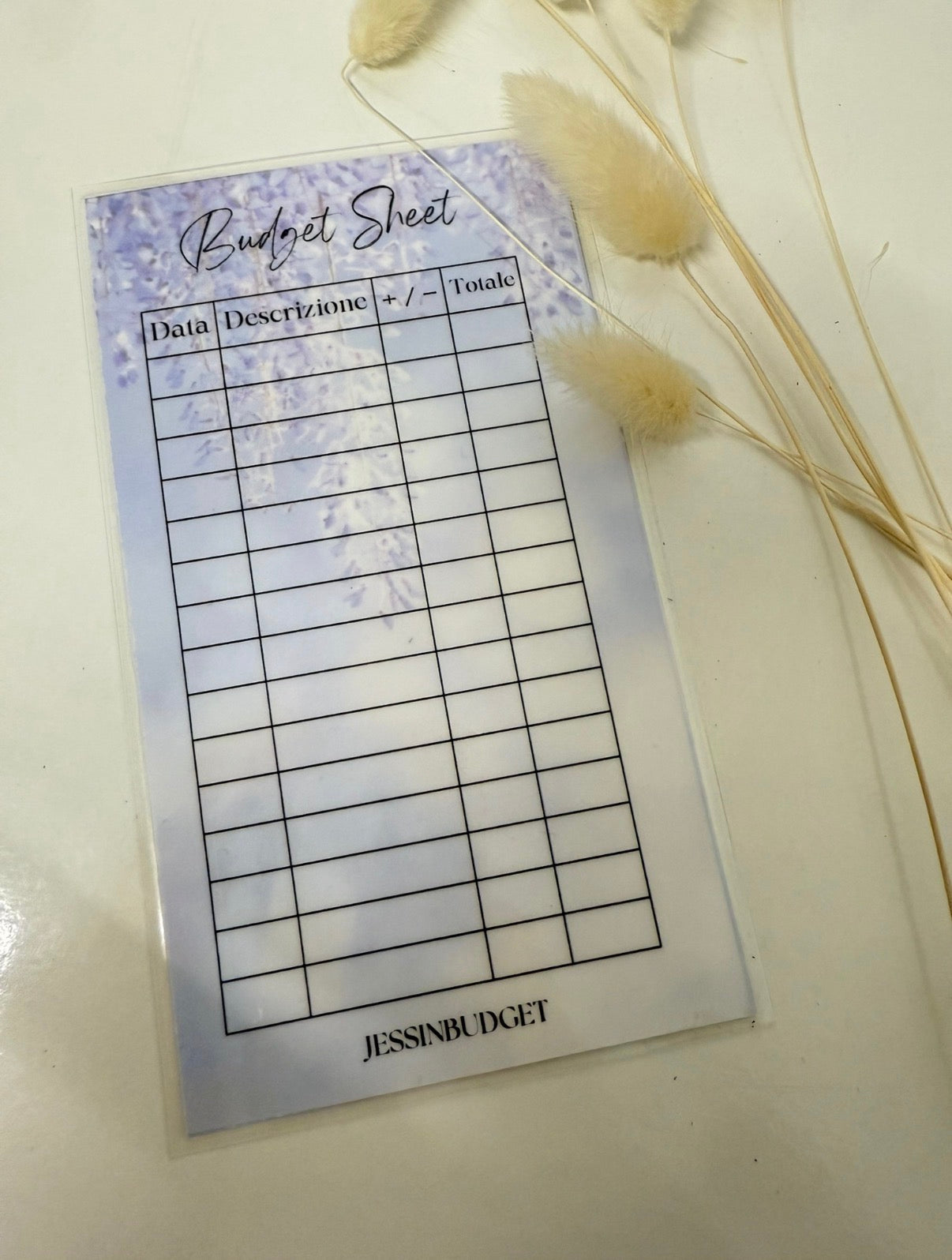 Budget Sheet Glicine