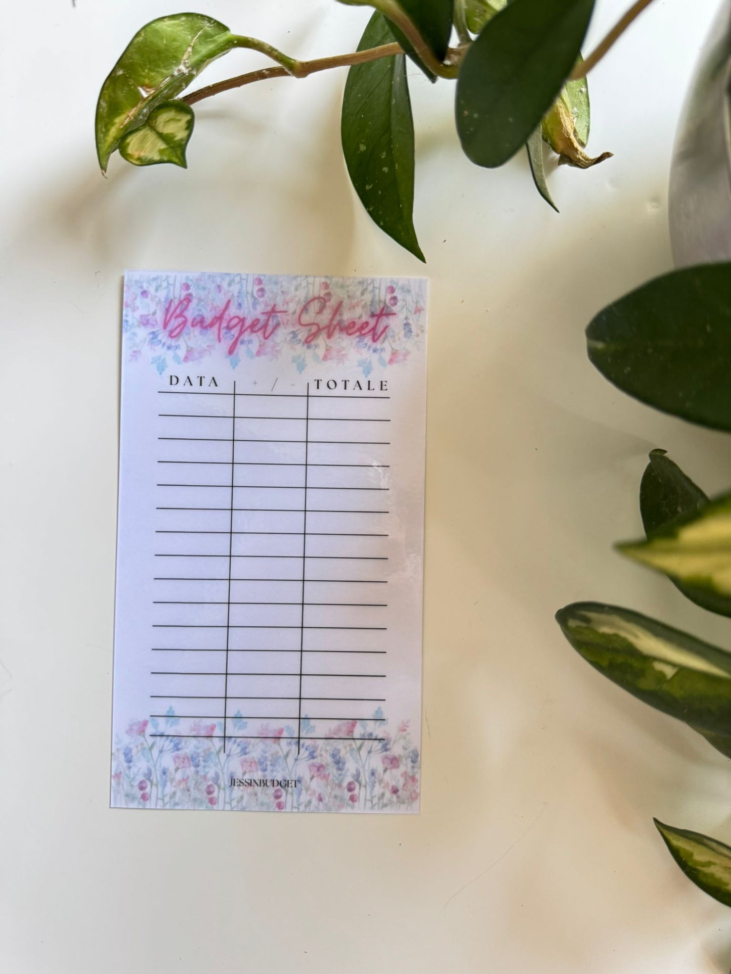 Budget Sheet DAFNE