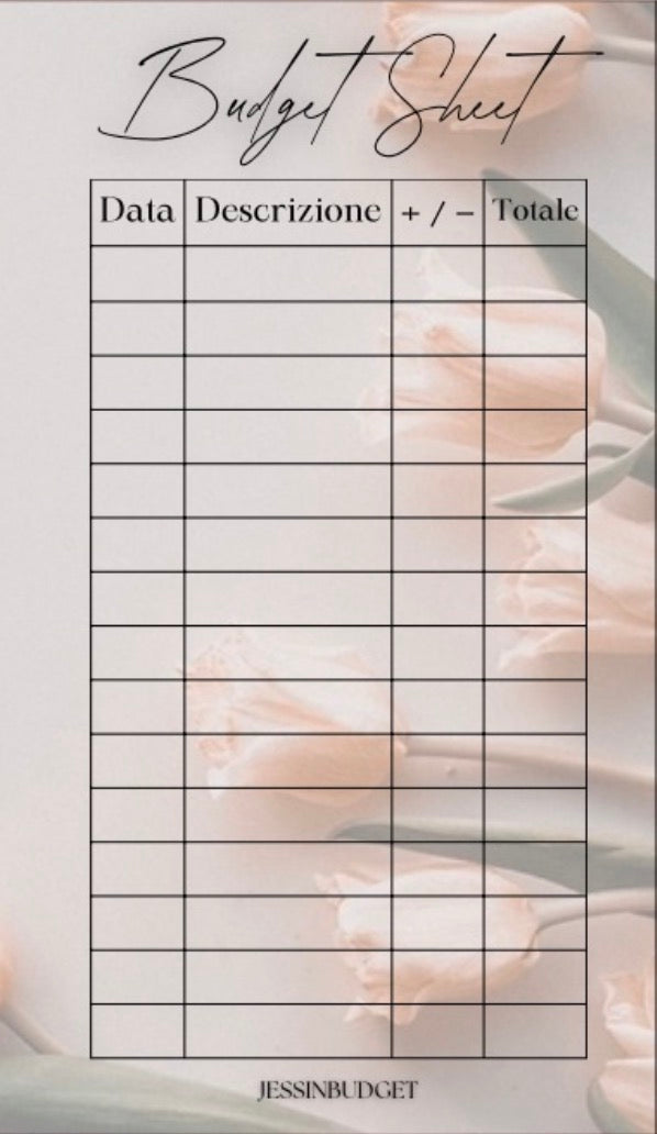 Budget Sheet Tulipani