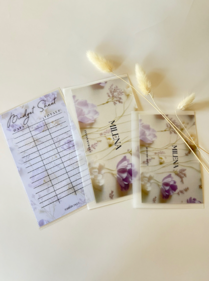 Budget Sheet MILENA